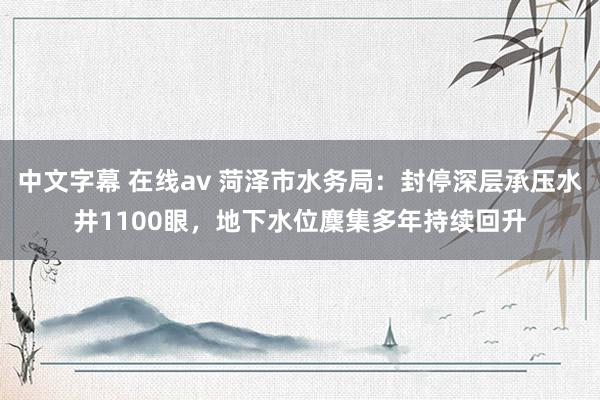 中文字幕 在线av 菏泽市水务局：封停深层承压水井1100眼，地下水位麇集多年持续回升