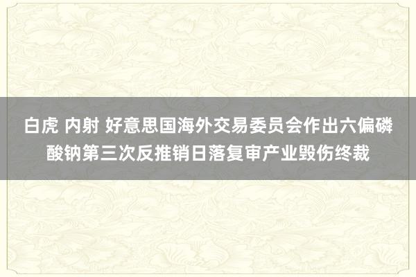 白虎 内射 好意思国海外交易委员会作出六偏磷酸钠第三次反推销日落复审产业毁伤终裁