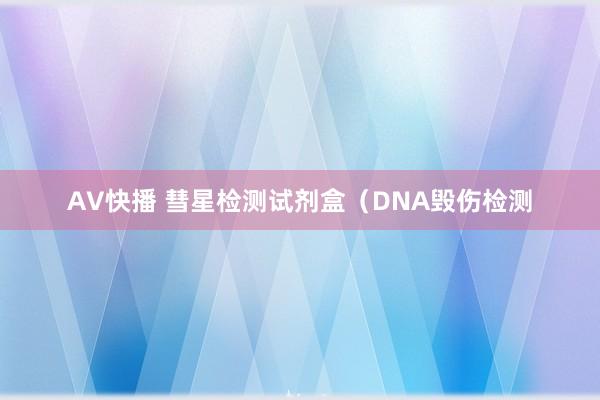 AV快播 彗星检测试剂盒(DNA毁伤检测