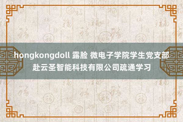 hongkongdoll 露脸 微电子学院学生党支部赴云圣智能科技有限公司疏通学习