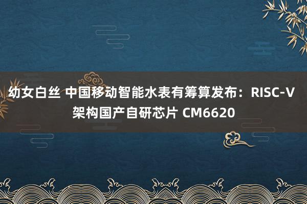 幼女白丝 中国移动智能水表有筹算发布：RISC-V 架构国产自研芯片 CM6620