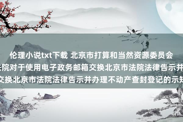伦理小说txt下载 北京市打算和当然资源委员会 北京市高等东说念主民法院对于使用电子政务邮箱交换北京市法院法律告示并办理不动产查封登记的示知