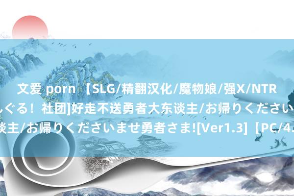 文爱 porn 【SLG/精翻汉化/魔物娘/强X/NTR】[RJ410389/とらいあんぐる！社团]好走不送勇者大东谈主/お帰りくださいませ勇者さま![Ver1.3]【PC/4.30G】