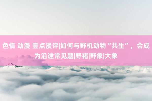 色情 动漫 壹点漫评|如何与野机动物“共生”，会成为沿途常见题|野猪|野象|大象