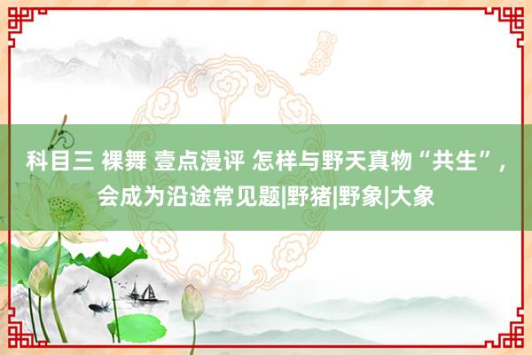科目三 裸舞 壹点漫评 怎样与野天真物“共生”，会成为沿途常见题|野猪|野象|大象