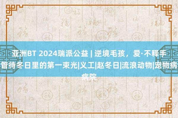 亚洲BT 2024瑞派公益 | 逆境毛孩，爱·不释手，管待冬日里的第一束光|义工|赵冬日|流浪动物|宠物病院