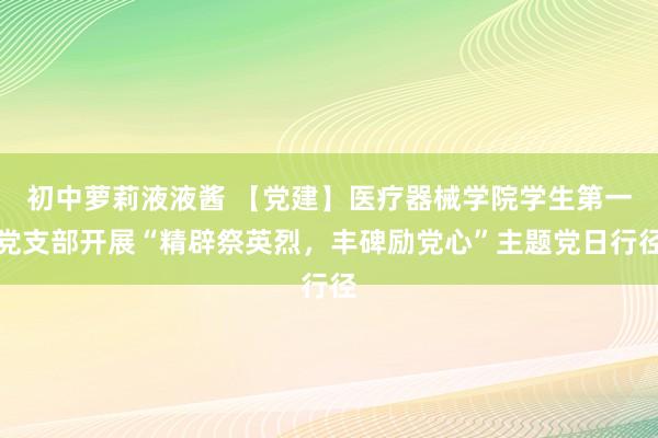 初中萝莉液液酱 【党建】医疗器械学院学生第一党支部开展“精辟祭英烈，丰碑励党心”主题党日行径