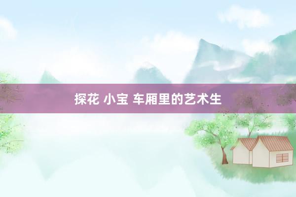 探花 小宝 车厢里的艺术生