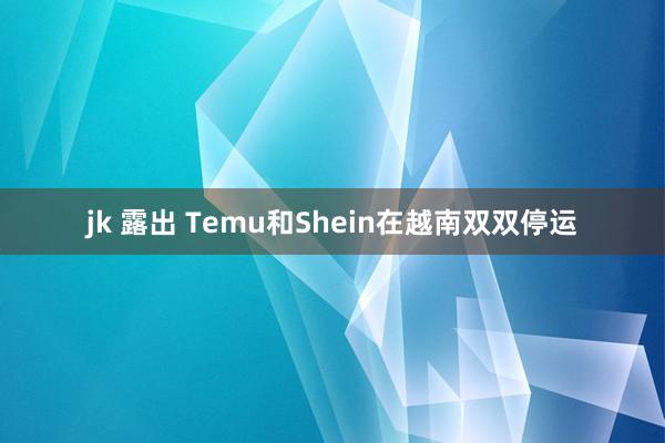 jk 露出 Temu和Shein在越南双双停运