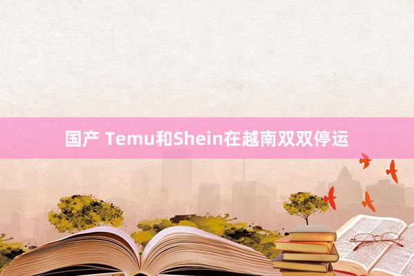 国产 Temu和Shein在越南双双停运
