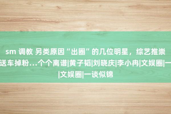 sm 调教 另类原因“出圈”的几位明星，综艺推崇被嘲，送车掉粉…个个离谱|黄子韬|刘晓庆|李小冉|文娱圈|一谈似锦