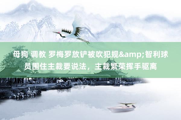 母狗 调教 罗梅罗放铲被吹犯规&智利球员围住主裁要说法，主裁繁荣挥手驱离